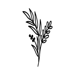 Leaves icon