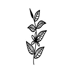 Leaves icon