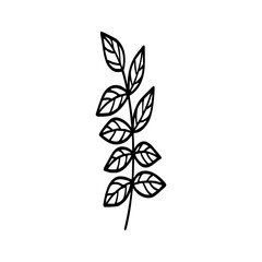 Leaves icon