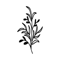 Leaves icon