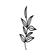 Leaves icon