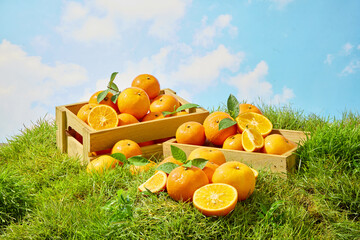 Many juicy oranges with rough skin, still containing drops water. Oranges stacked on top of each other in a wooden crate, some leaning towards the edge of the crate, some rolling slightly out.