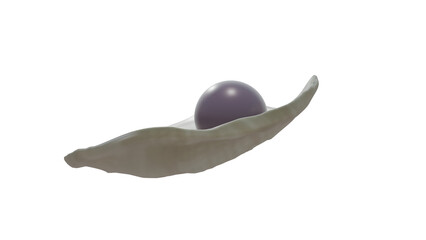 Quahog pearl in venus clam