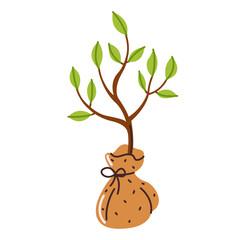 A sapling of a young tree in a bag. The concept of spring planting. Vector illustration in a flat style, isolated on a white background