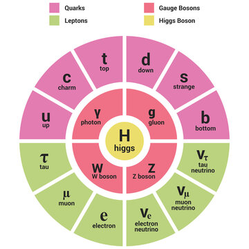 Standard Model of Elementary Particles - circle view