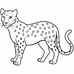 leopard full body line art vector 