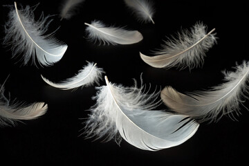 Obraz premium White feathers falling slowly. Feathers. Black background.