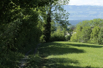 Bachtel - Mai 2018 - Zurich, Switzerland