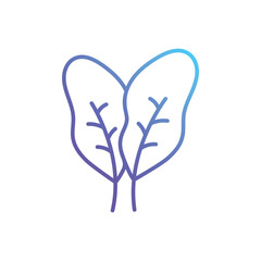 Spinach Vector icon