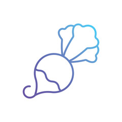 Radish Vector icon