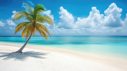 Serene Tropical Paradise: Lone Palm Tree on Pristine Beach