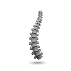 3D Spine Logo