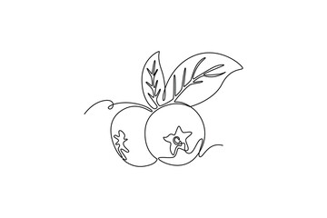 blueberries. Fruits concept. Single line draw design. Vector graphic illustration