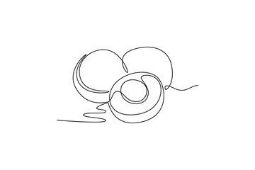 Longan. Fruits concept. Single line draw design. Vector graphic illustration
