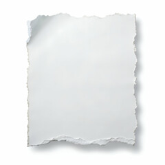 Obraz premium Sheet of paper with a torn edge isolated on transparent background 