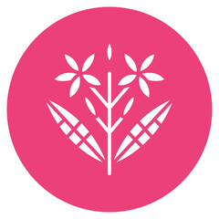 Ixora Vector Icon