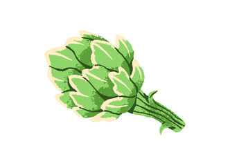 Icon of green artichoke. Fresh artichaut with leaves. Natural, organic vegetable. Healthy eating, farm food, agriculture harvest. Flat isolated hand drawn vector illustration on white background