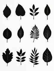 set of leaves silhouettes