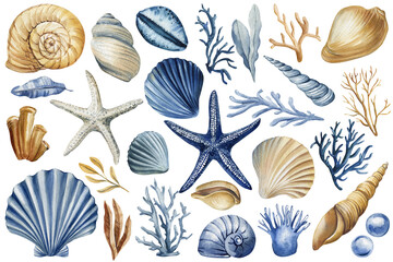 watercolor collection of seashells starfish coral seaweed marine elements set isolated white, ocean beach nature design