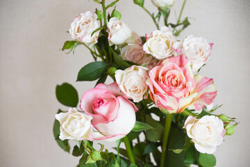 カラフルな薔薇