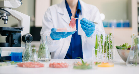 Scientist testing food samples in lab with microscope, vegetables, and meat for safety, nutrition,...