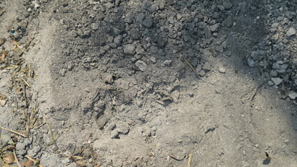 Gray Ash and Debris Ground Texture,