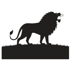 lion vector illustration