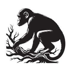 Fototapeta premium Black Color Chimpanzee Silhouette Vector Illustration, Solid White Background