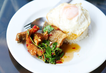 Stir-fried holy basil leaves with deep-fried Sea Bass, jasmine rice and fried chicken egg. Delicious Thai food on glass table with natural light.