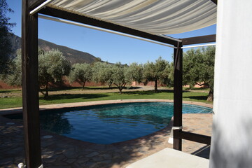 swimming pool in the garden