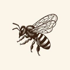 Vintage Honey bee editable vector logo. Hand drawn engraving style illustrations.	Vector illustration of a black bee icon in a silhouettes style. 