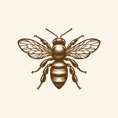 Honey bee editable vector logo. Hand drawn engraving style illustrations.	Vector illustration of a black bee icon in a silhouettes style. 