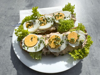 Delicious egg and lettuce open sandwich on whole grain bread