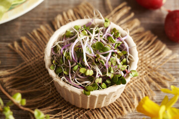Fresh homegrown radish sprouts in a bowl
