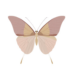 Minimalist boho butterfly illustration, spiritual animal art in soft earthy tones, isolated on a neutral background, perfect for mindfulness, meditation, and modern decor.