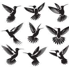 Fototapeta premium Black Color Hummingbird Silhouette Vector Illustration, Solid White Background