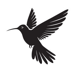 Black Color Hummingbird Silhouette Vector Illustration, Solid White Background
