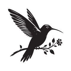 Black Color Hummingbird Silhouette Vector Illustration, Solid White Background