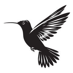 Black Color Hummingbird Silhouette Vector Illustration, Solid White Background