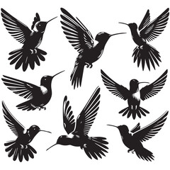 Black Color Hummingbird Silhouette Vector Illustration, Solid White Background