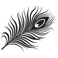 peacock feather black silhouette vector black white background.