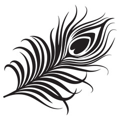 peacock feather black silhouette vector black white background.