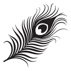 peacock feather black silhouette vector black white background.