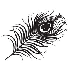 peacock feather black silhouette vector black white background.
