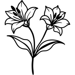 Alstroemeria flower vector design for digital projects, perfect for prints and artwork.