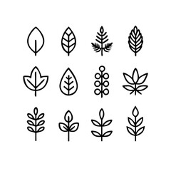 Leaf Symbol Icons Vector