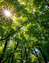 Vibrant green forest canopy, sunlight dappled leaves, emerald, bright