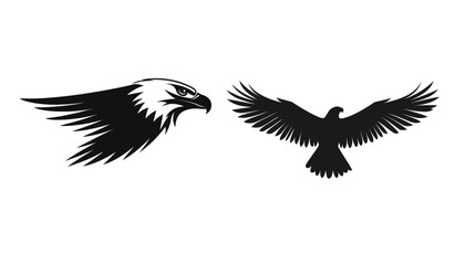 Obraz premium Eagle wing vector graphic design, featuring a powerful and majestic eagle wing in flight. The design showcases intricate details of feathers and a strong sense of freedom and strength,