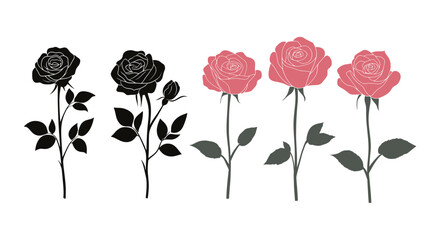 Hybrid tea roses silhouette on a white background, featuring delicate and elegant outlines of blooming roses. This minimalist design captures the timeless beauty and sophistication of tea roses