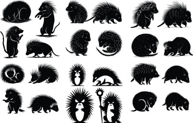 Silhouette of porcupine filled with tropical plant in the jungle in rough drawing Hedgehog icons set in black filled and stroke line style Vector illustration of Cute hedgehog walking with spikes cart